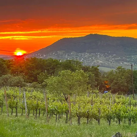 Hegypanorama Apartament *