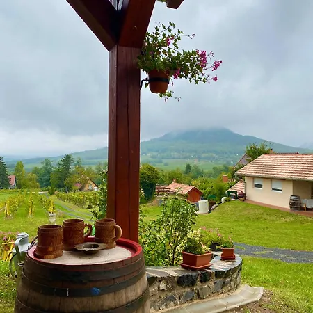 Apartament Hegypanorama Badacsony