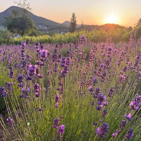 Hegypanorama Apartament Badacsony