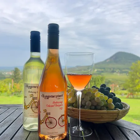 Apartament Hegypanorama Badacsony