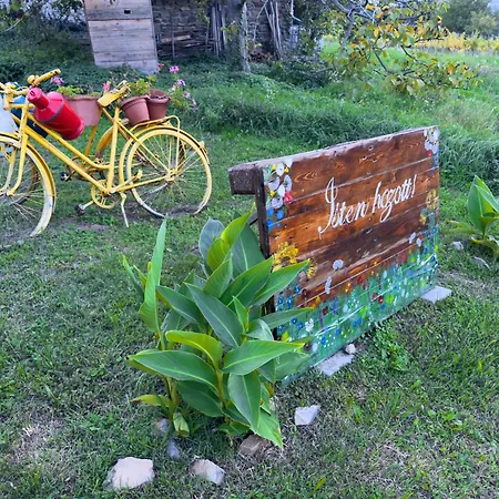 Apartament Hegypanorama *