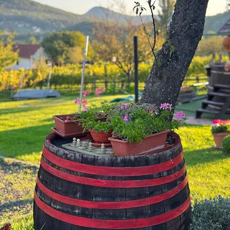 Hegypanorama Apartament