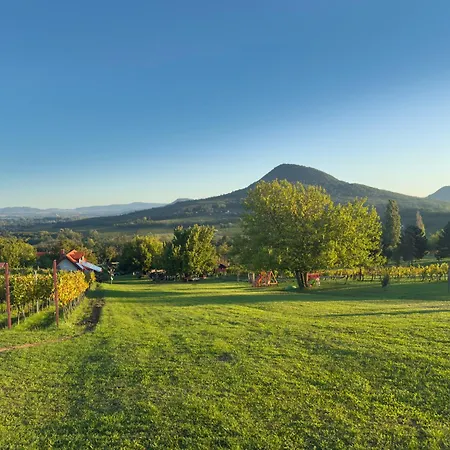 Hegypanorama Badacsony