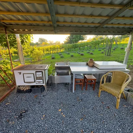 Hegypanorama Apartament Badacsony