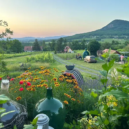 Apartament Hegypanorama Badacsony