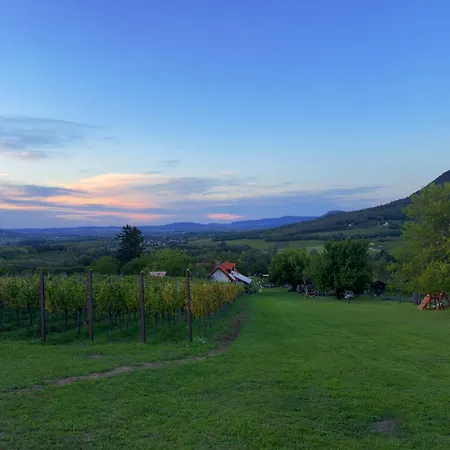 Apartament Hegypanorama Badacsony